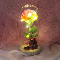 Rose Glass Cover Led Micro Landscape Home Decoration