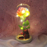 Rose Glass Cover Led Micro Landscape Home Decoration